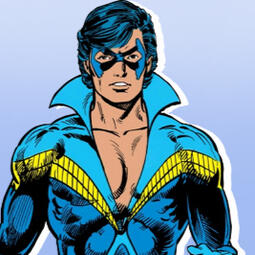 Donatello - Nightwing